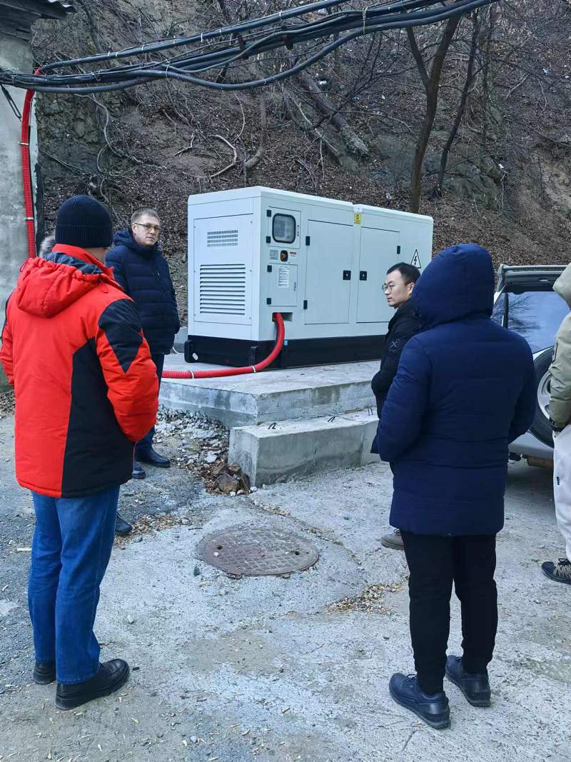 俄罗斯600kW天然气集装箱式电站工矿低碳供电保障项目